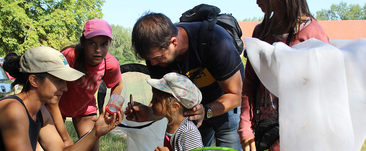 Sorties et animations nature